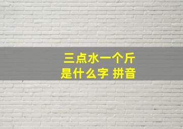 三点水一个斤是什么字 拼音